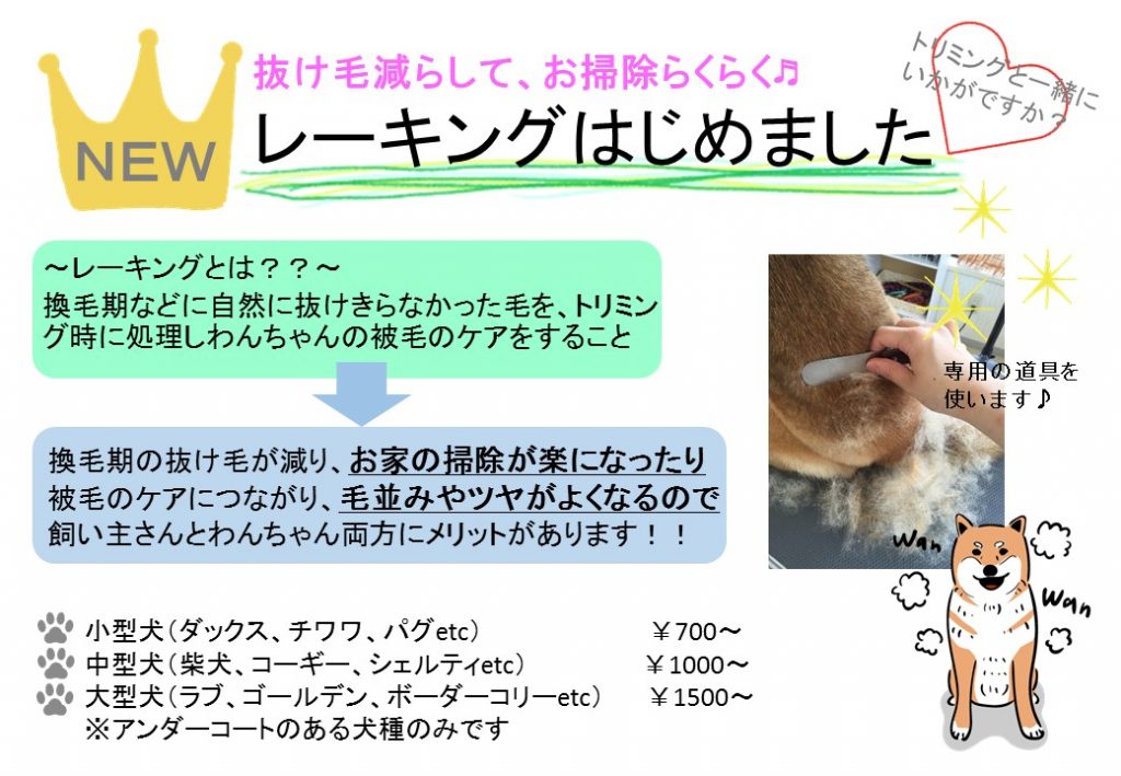 レーキングはじめました スイミー動物病院 兵庫県芦屋市の動物病院