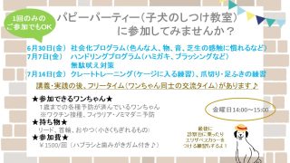 パピーパーティーのお知らせ