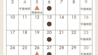 11月診療時間について