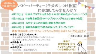 パピーパーティーのお知らせ