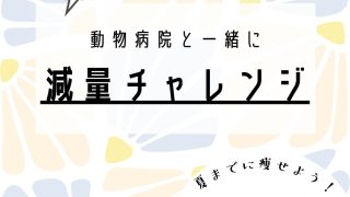 ６月限定ロイヤルカナンのダイエット応援キャンペーン！
