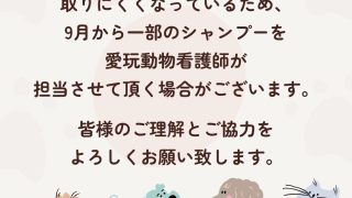 トリミングシャンプーについて