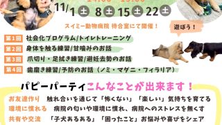 パピーパーティーのお知らせ