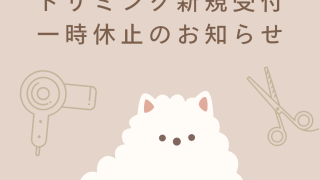 トリミング新規受付一時休止のお知らせ