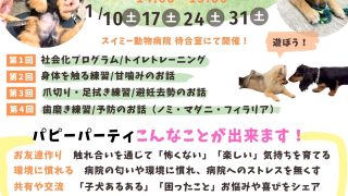 パピーパーティのお知らせ