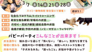 パピーパーティのお知らせ